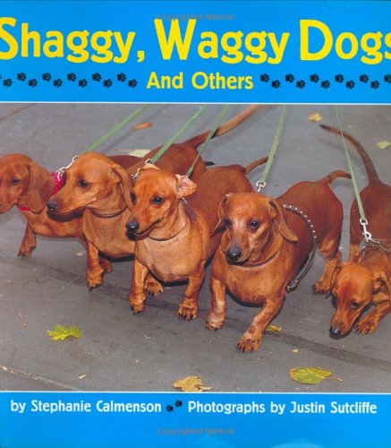 Beispielbild fr Shaggy, Waggy Dogs (And Others) zum Verkauf von HPB Inc.
