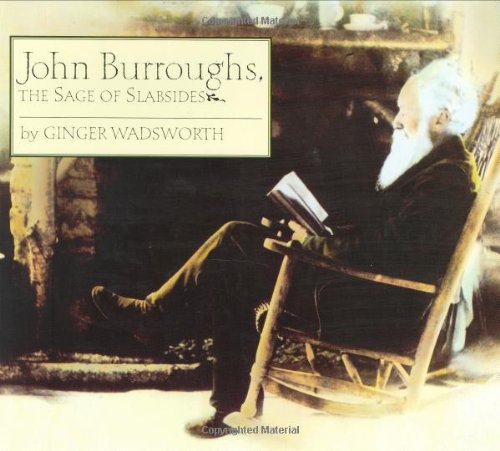 Stock image for John Burroughs : The Sage of Slabsides for sale by Better World Books: West