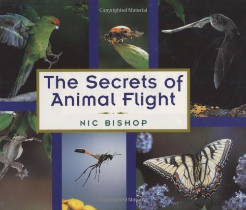 Beispielbild fr The Secrets of Animal Flight zum Verkauf von Better World Books