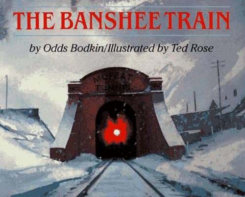 9780395797228: The Banshee Train