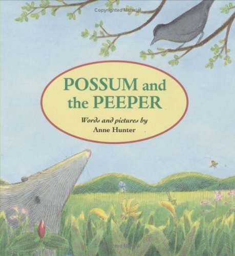 9780395846315: Possum and the Peeper