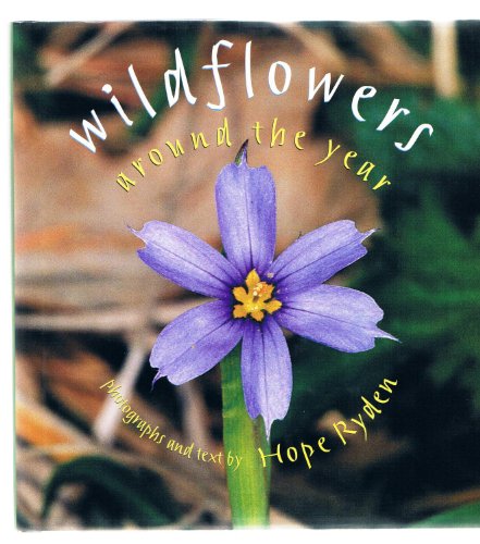 9780395858141: Wildflowers Around the Year