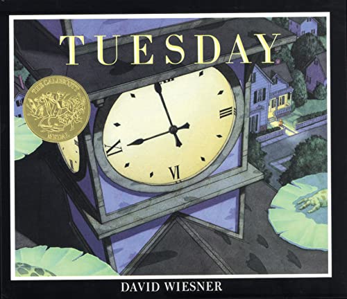 9780395870822: Tuesday: A Caldecott Award Winner