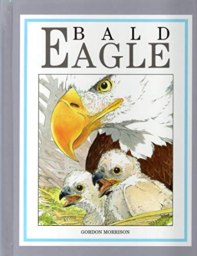 Stock image for Bald Eagle for sale by SecondSale
