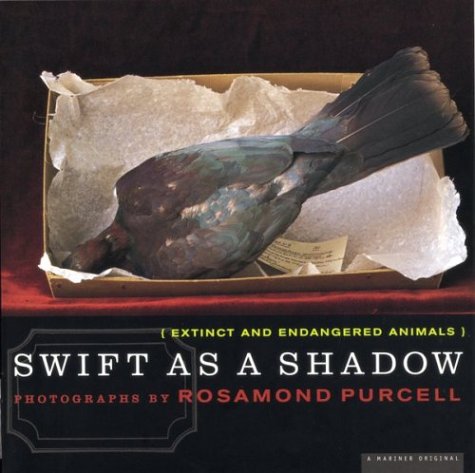Imagen de archivo de Swift as a Shadow a la venta por HPB-Movies