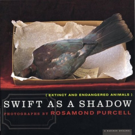 Swift As a Shadow: Extinct and Endangered Animals (9780395892282) by Purcell, Rosamond Wolff