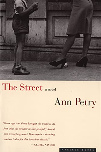9780395901496: The Street: A Novel
