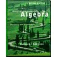 Elementary and Intermediate Algebra: Discovery and Visualization (9780395902332) by Hubbard, Elaine