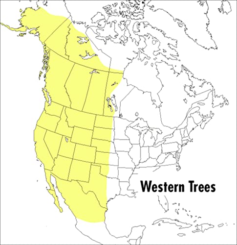 9780395904541: A Field Guide to Western Trees: Western United States and Canada