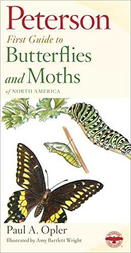 Beispielbild fr Peterson First Guide to Butterflies and Moths zum Verkauf von Better World Books