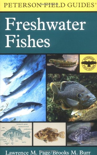 9780395910917: A Field Guide to Freshwater Fishes: North America, North of Mexico (Peterson Field Guide)