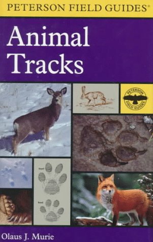9780395910931: Field Guide to Animal Tracks (Peterson Field Guides)
