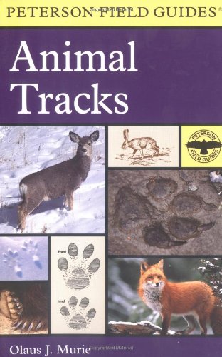 Stock image for A Field Guide to Animal Tracks (Peterson Field Guides) for sale by Seattle Goodwill