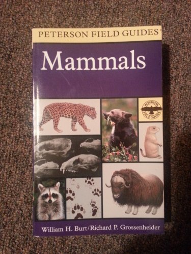 Beispielbild fr A Field Guide to Mammals : North America North of Mexico zum Verkauf von Better World Books