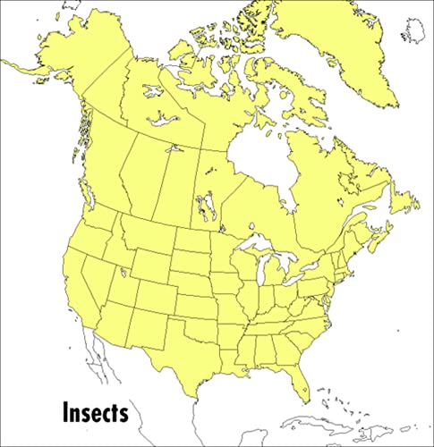 Imagen de archivo de A Field Guide to Insects a la venta por Inquiring Minds