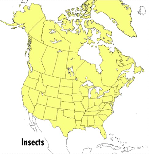 A Peterson Field Guide To Insects: America North of Mexico (Peterson Field Guides) (9780395911709) by Borror, Donald J.; Peterson, Roger Tory