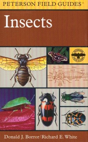 Beispielbild fr A Field Guide to Insects: America North of Mexico zum Verkauf von ThriftBooks-Atlanta