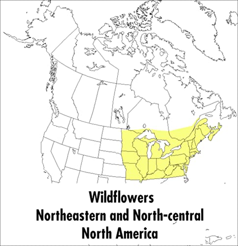 9780395911723: A Peterson Field Guide To Wildflowers: Northeastern and North-central North America (Peterson Field Guides)