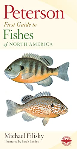 Imagen de archivo de Peterson First Guide To Fishes Of North America a la venta por Orion Tech