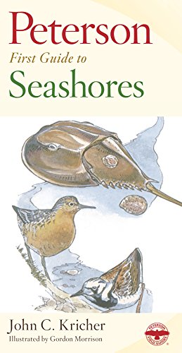 Beispielbild fr Peterson First Guide to Seashores zum Verkauf von BooksRun