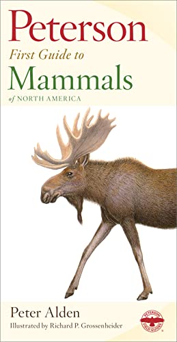 Beispielbild fr Peterson First Guide Mammals of North America zum Verkauf von Wonder Book