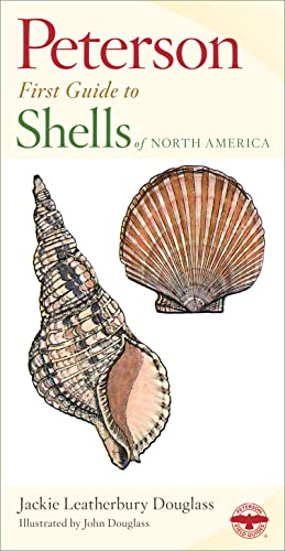 Stock image for Peterson First Guide to Shells of North America for sale by SecondSale