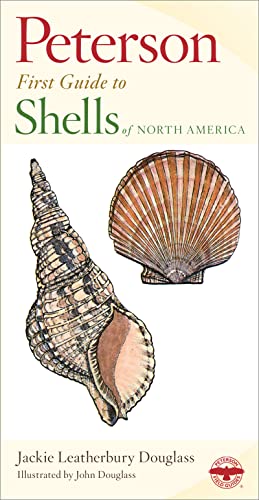 9780395911822: Peterson First Guide To Shells Of North America