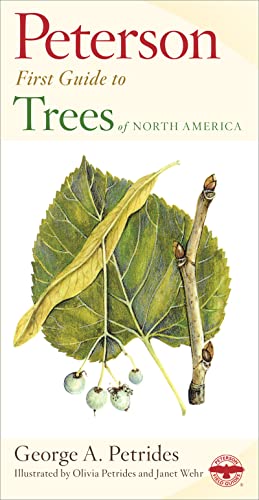 9780395911839: Peterson First Guide to Trees