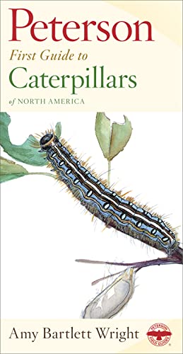 Beispielbild fr Peterson First Guide to Caterpillars of North America zum Verkauf von Better World Books