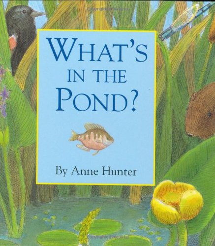 Beispielbild fr What's in the Pond? zum Verkauf von Better World Books