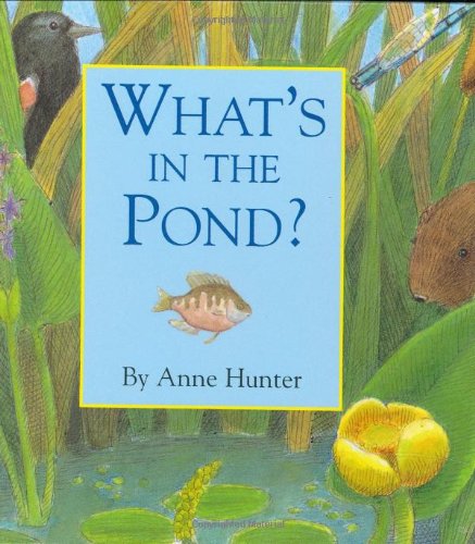 Stock image for What's in the Pond? for sale by Better World Books