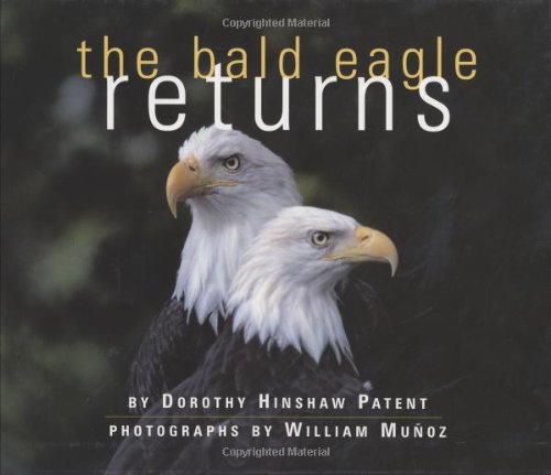 Beispielbild fr The Bald Eagle Returns zum Verkauf von Better World Books