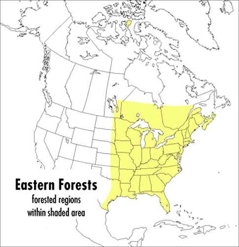 Imagen de archivo de A Peterson Field Guide To Eastern Forests: North America (Peterson Field Guides) a la venta por New Legacy Books