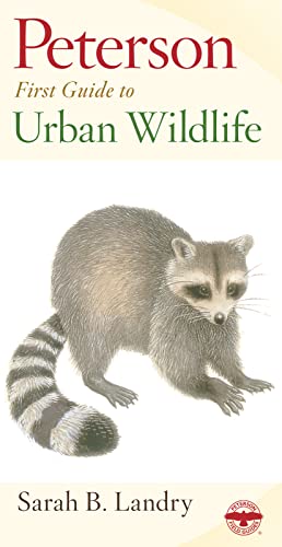 Beispielbild fr Peterson First Guide to Urban Wildlife zum Verkauf von WorldofBooks