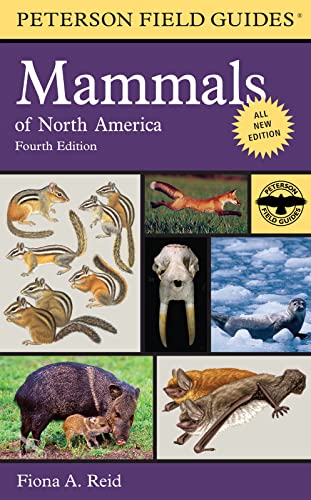 9780395935965: Peterson Field Guide to Mammals of North America: Fourth Edition