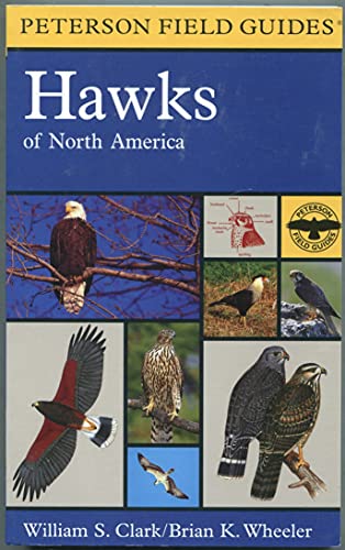 Beispielbild fr Field Guide to Hawks: North America (Peterson Field Guides) zum Verkauf von HPB-Diamond
