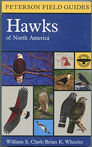 Imagen de archivo de Field Guide to Hawks: North America (Peterson Field Guides) a la venta por BooksRun