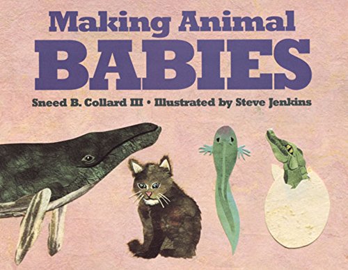 Beispielbild fr Making Animal Babies zum Verkauf von Better World Books