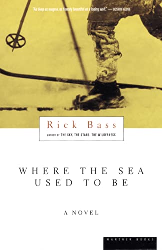 Imagen de archivo de Where the Sea Used to Be a la venta por BookHolders