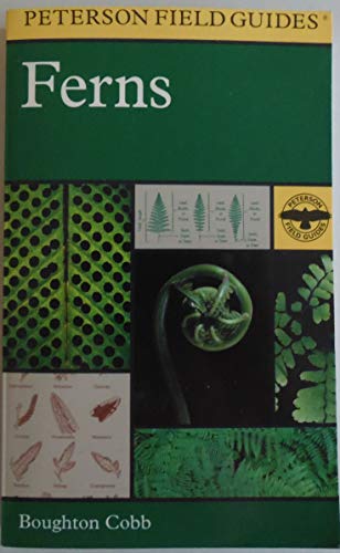 Stock image for A Field Guide to Ferns : And Their Related Families : Northeastern and Central North America (Peterson Field Guides) for sale by Green Street Books