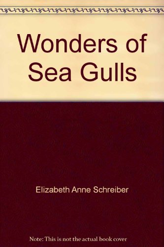 Wonders of Sea Gulls