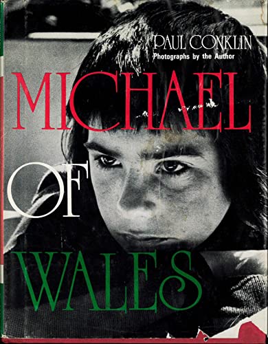 Stock image for Michael of Wales for sale by THE OLD LIBRARY SHOP
