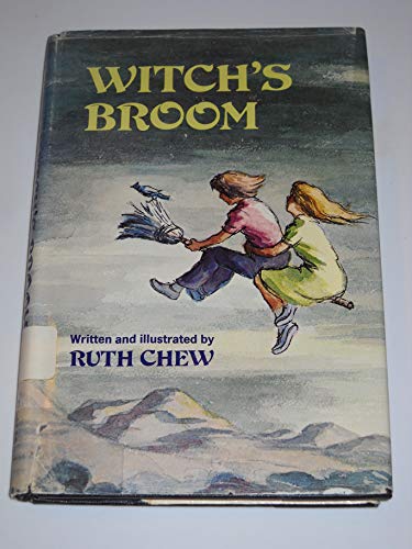 9780396074861: Witch's Broom