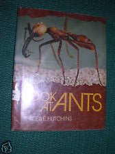 Imagen de archivo de A Look at Ants a la venta por ThriftBooks-Atlanta