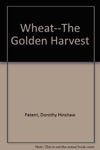 Imagen de archivo de Wheat : The Golden Harvest a la venta por Better World Books: West