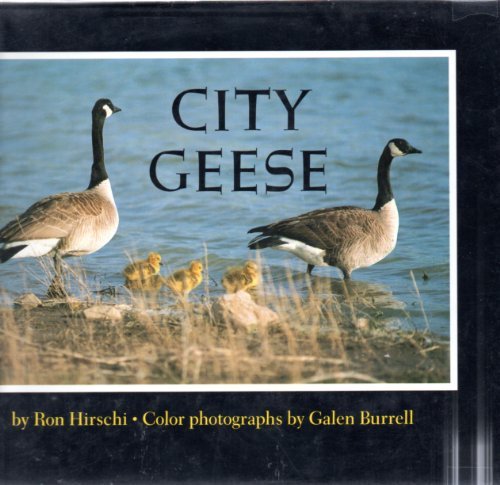 Beispielbild fr City Geese zum Verkauf von HPB-Emerald