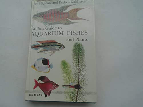 Stock image for A guide to aquarium fishes and plants for sale by Wonder Book