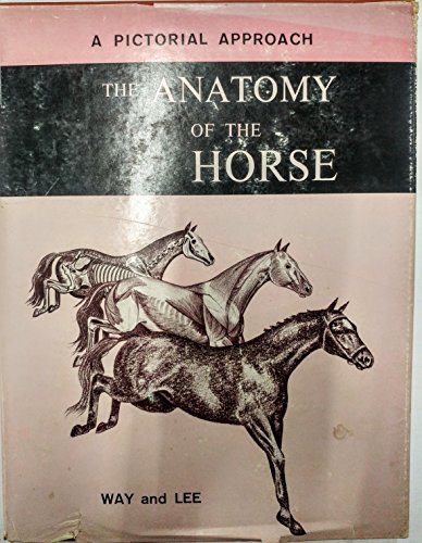 Stock image for Anatomy of the Horse: A Pictorial Approach for sale by Else Fine Booksellers