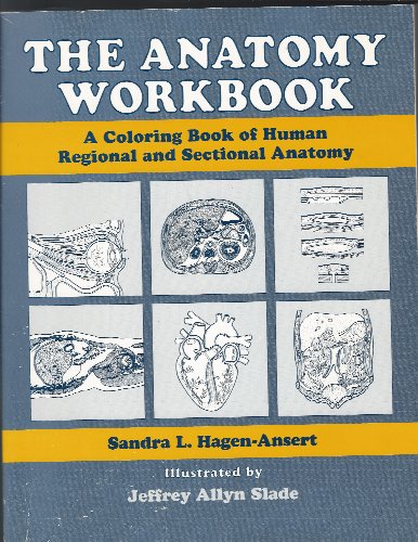 9780397506941: The Anatomy Workbook: A Colouring Book of Human Regional and Sectional Anatomy