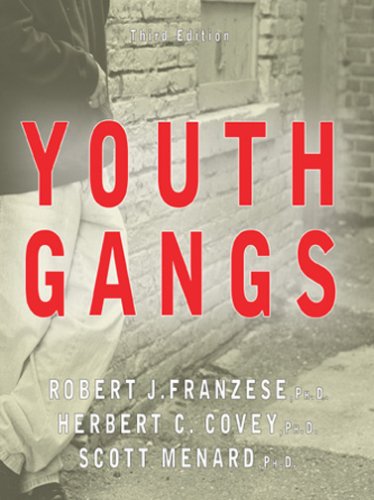 Stock image for Youth Gangs for sale by Better World Books